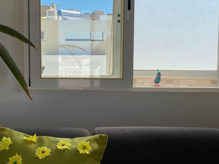 Apartamento Superstar Terrace Faro