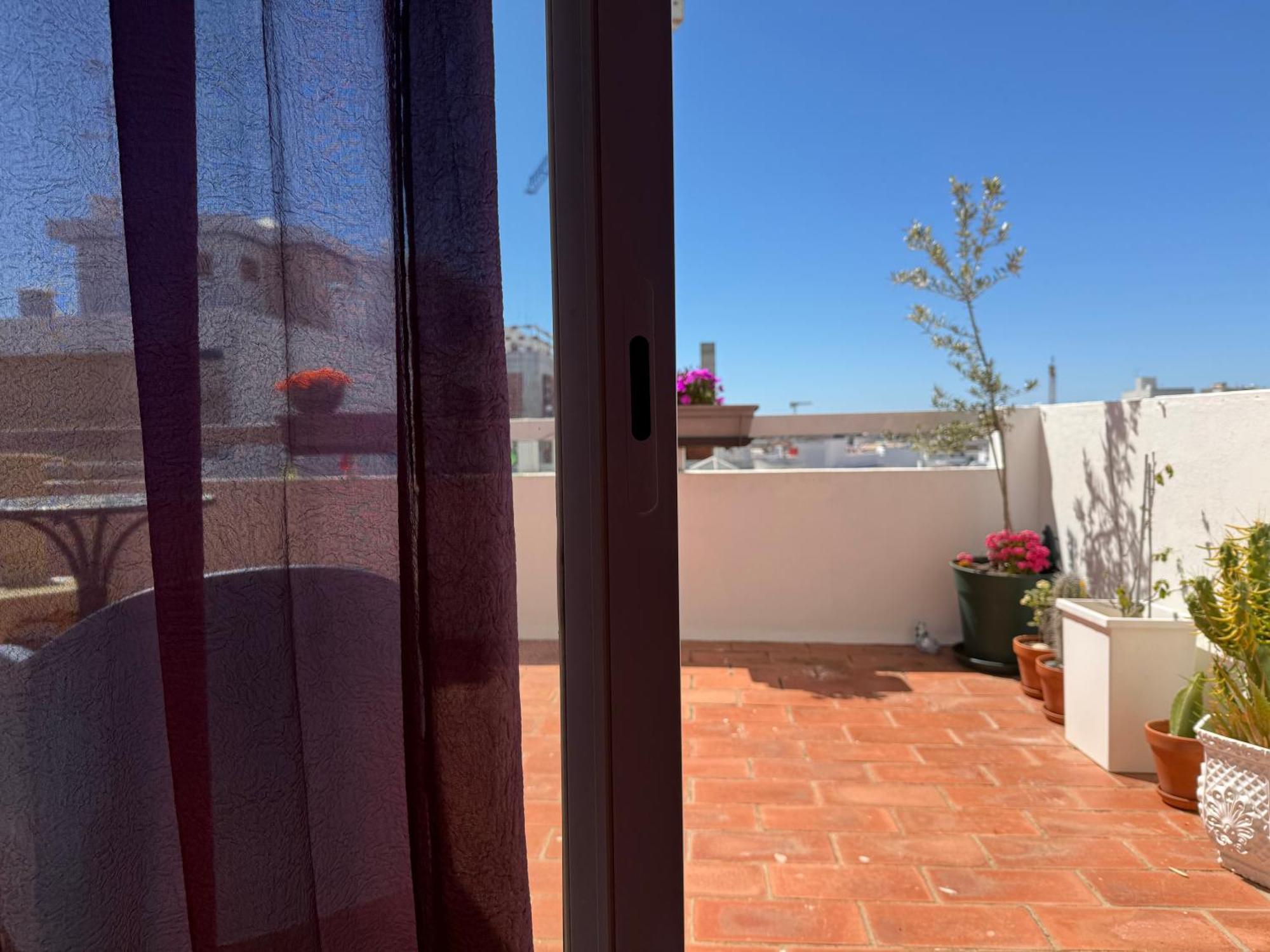 Superstar Terrace Faro